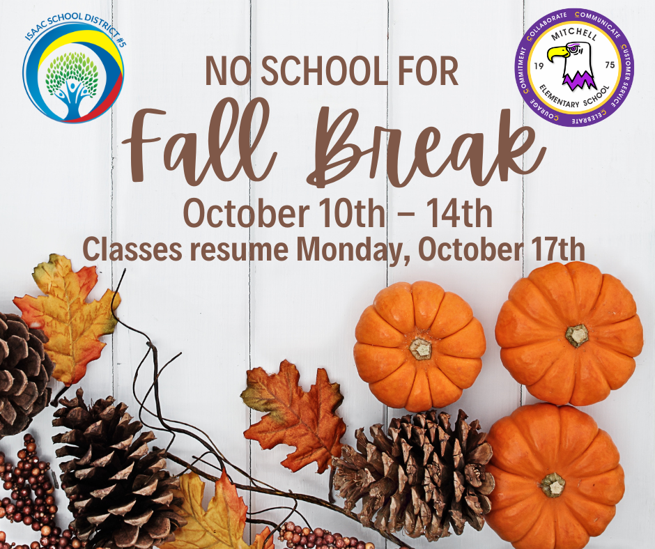Fall break no school